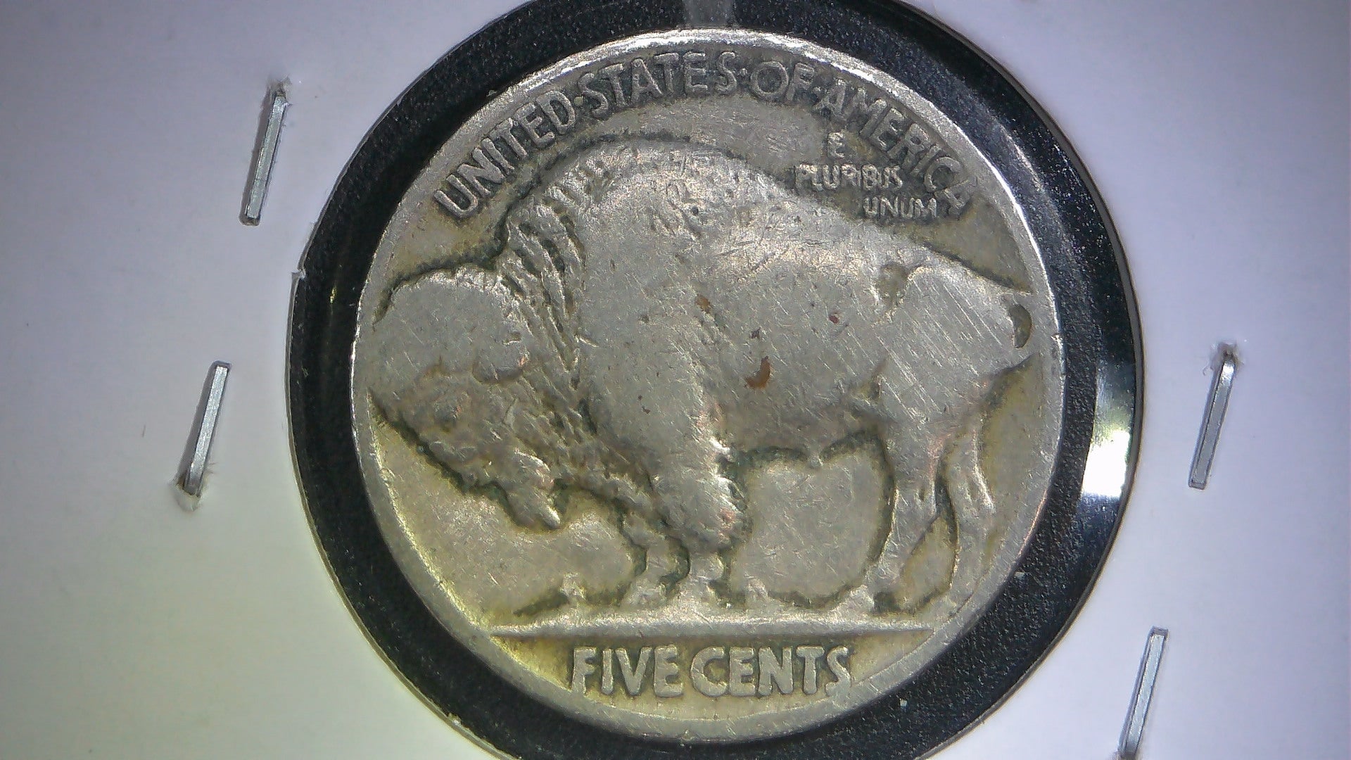 1921-P Buffalo Nickel VG-8